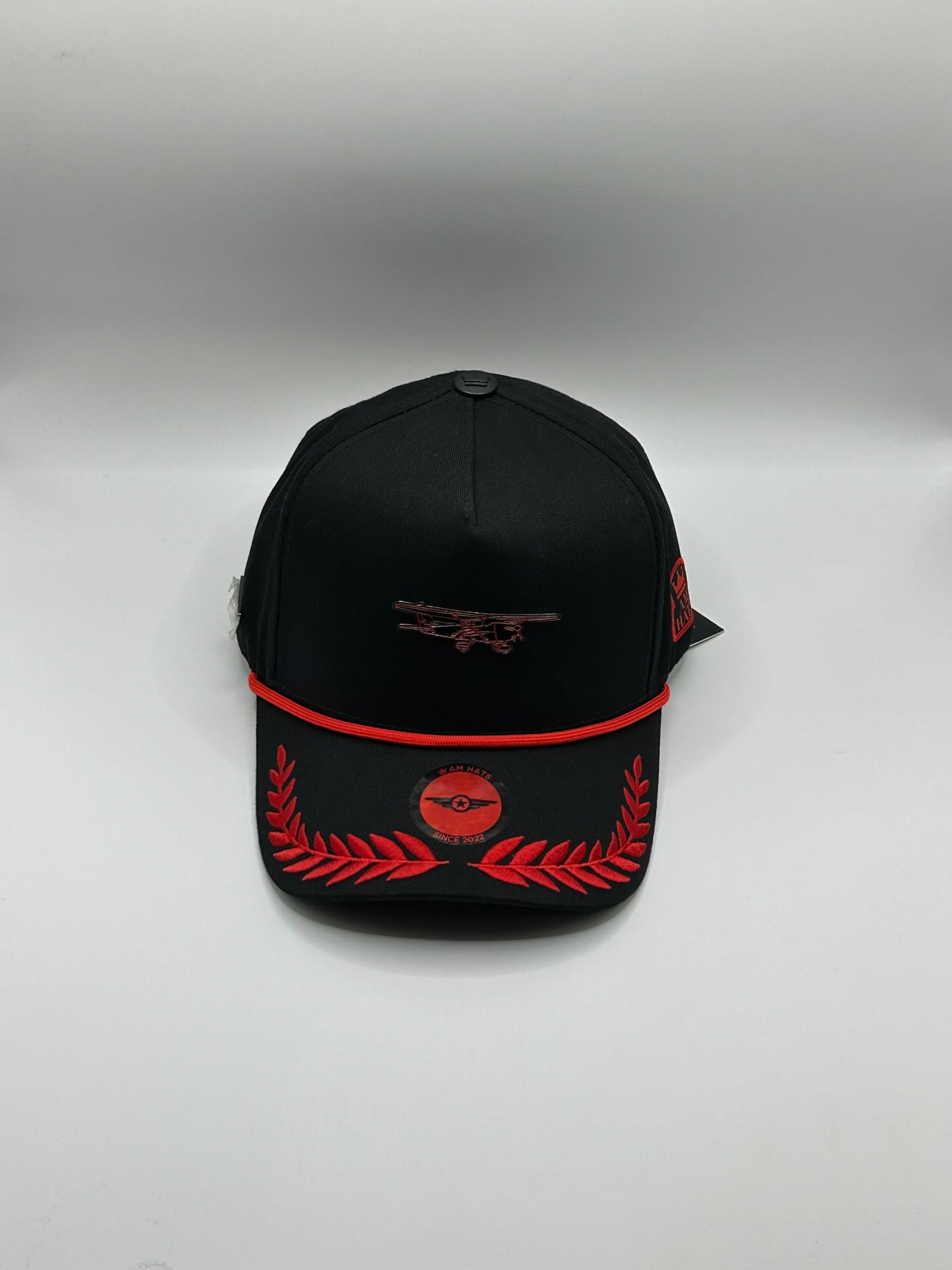AVIONETA