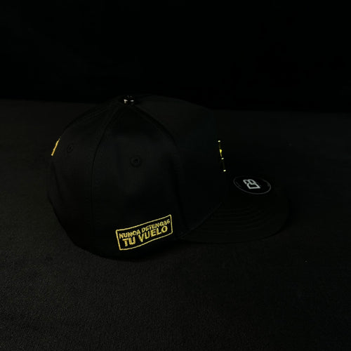 AVIONETA GOLD