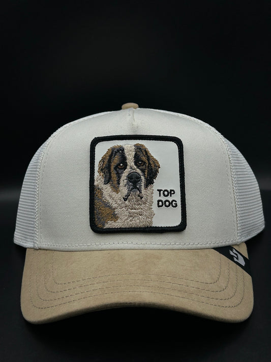 TOP DOG